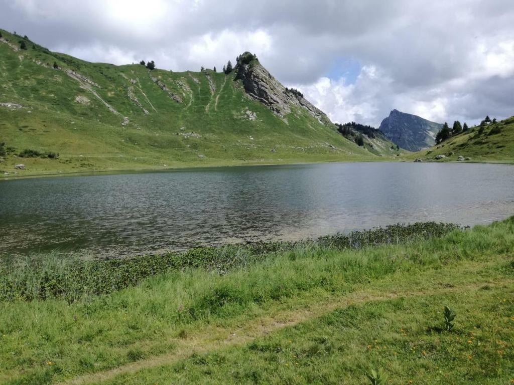 Le Genepi Taninges Exterior foto