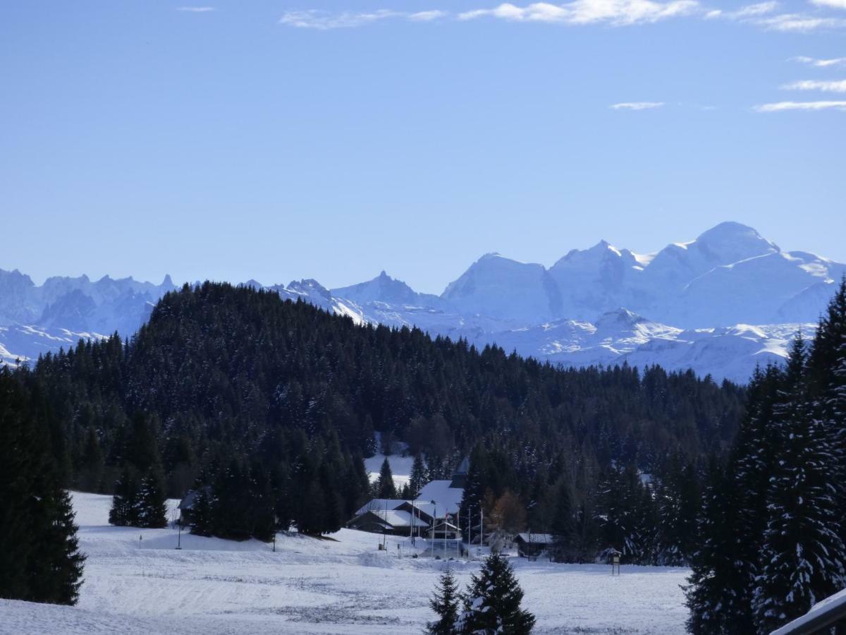 Le Genepi Taninges Exterior foto
